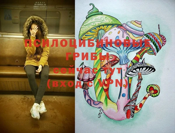 мяу мяу мука Алексин